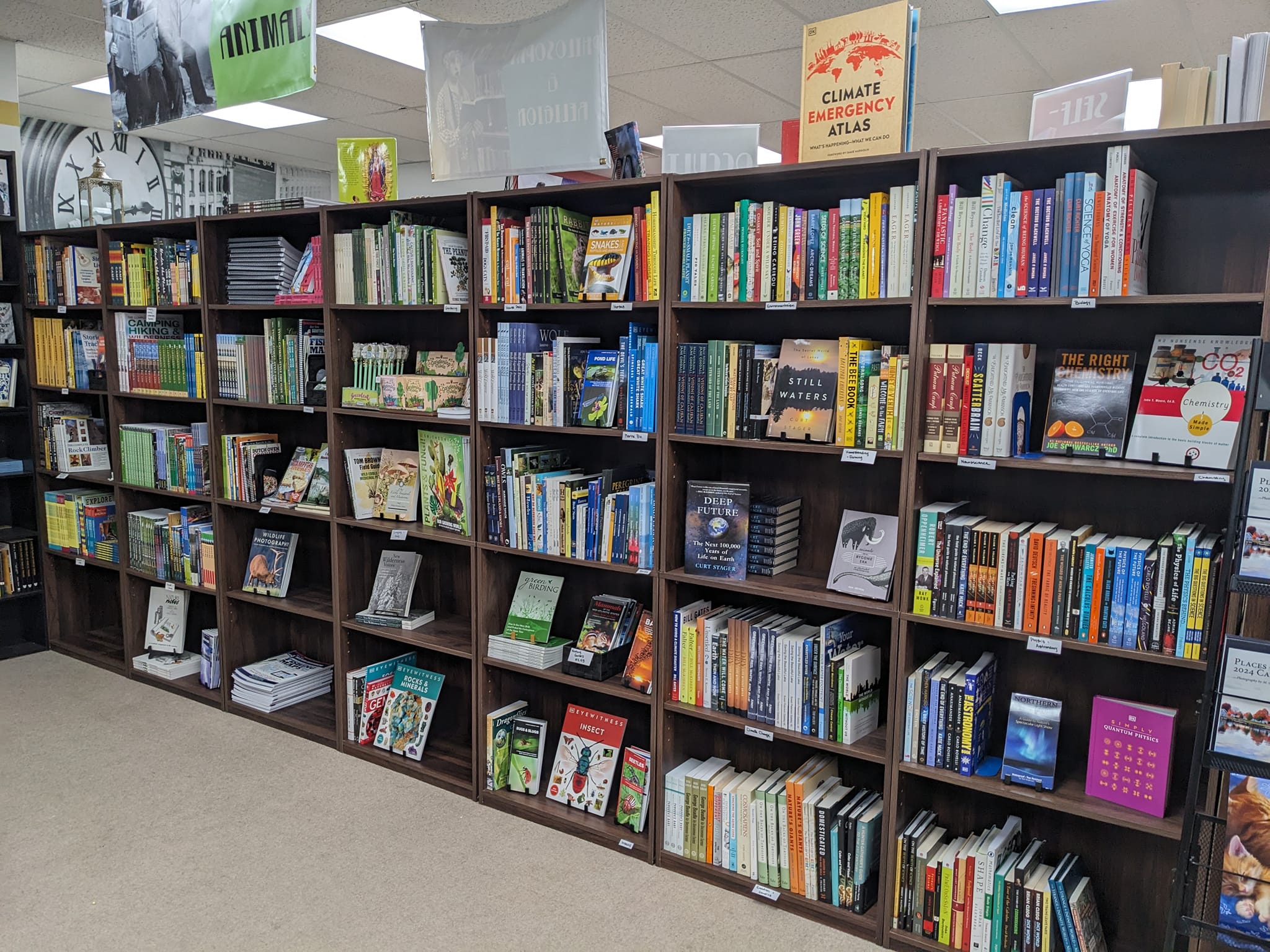 Keaton & Lloyd Bookshelves