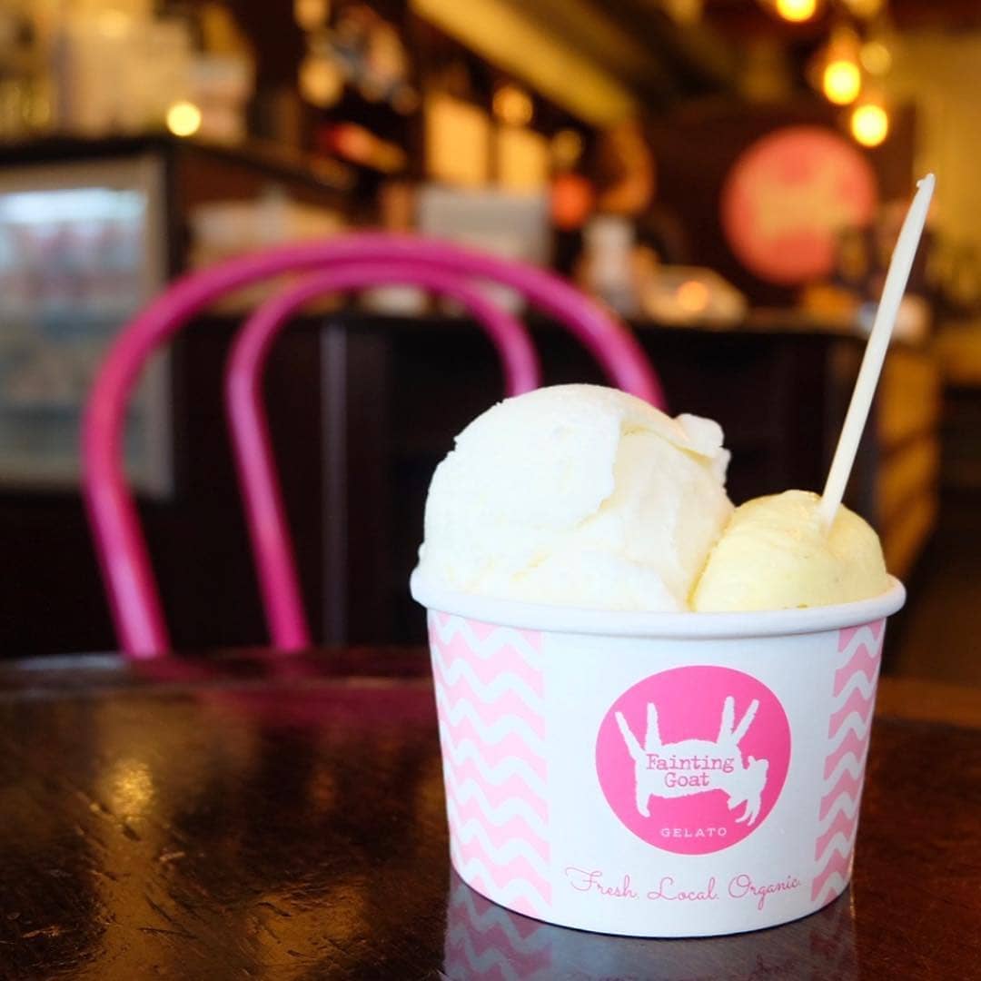 Fainting Goat Gelato cup