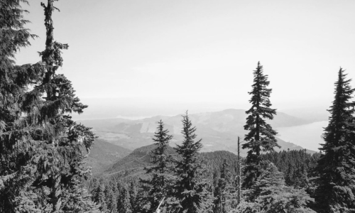 Path of Fortitude