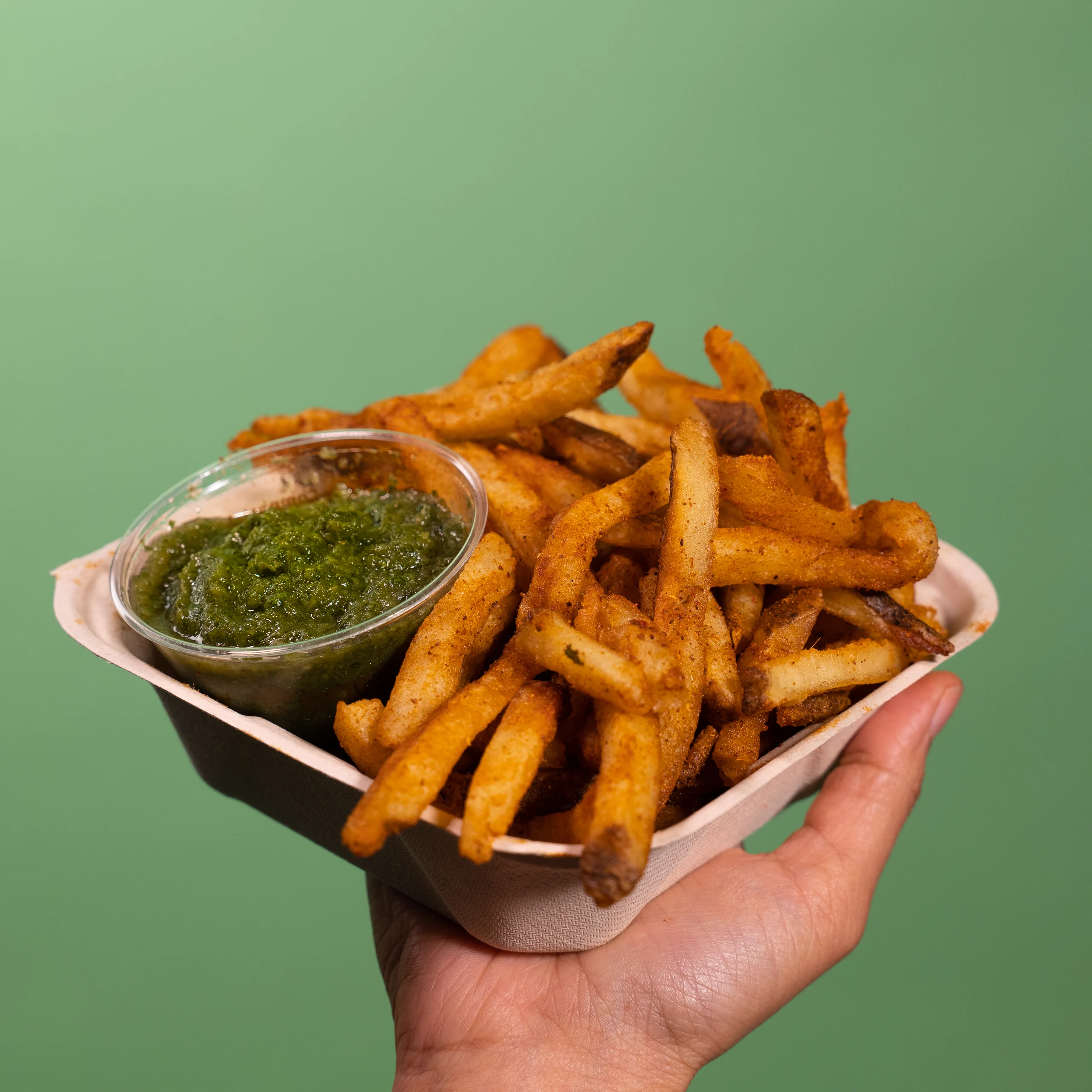 spice waala fries