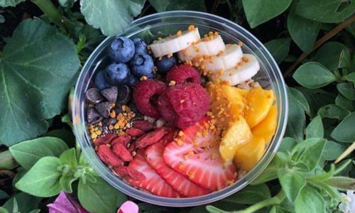 Verve Bowls