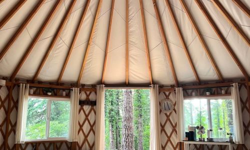 Evergreen Wellbeing - Feature