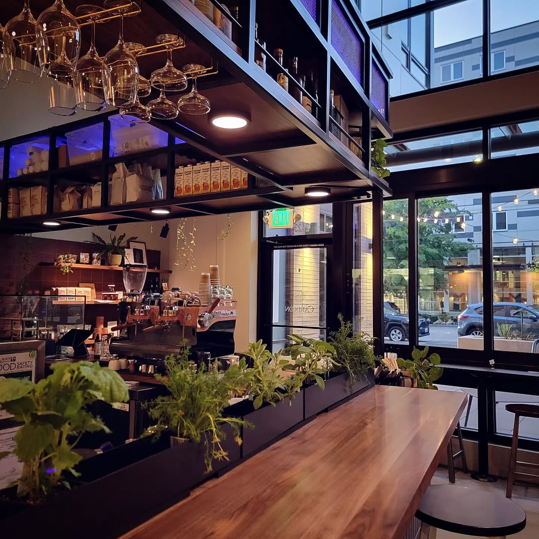 Cardoon - Interior