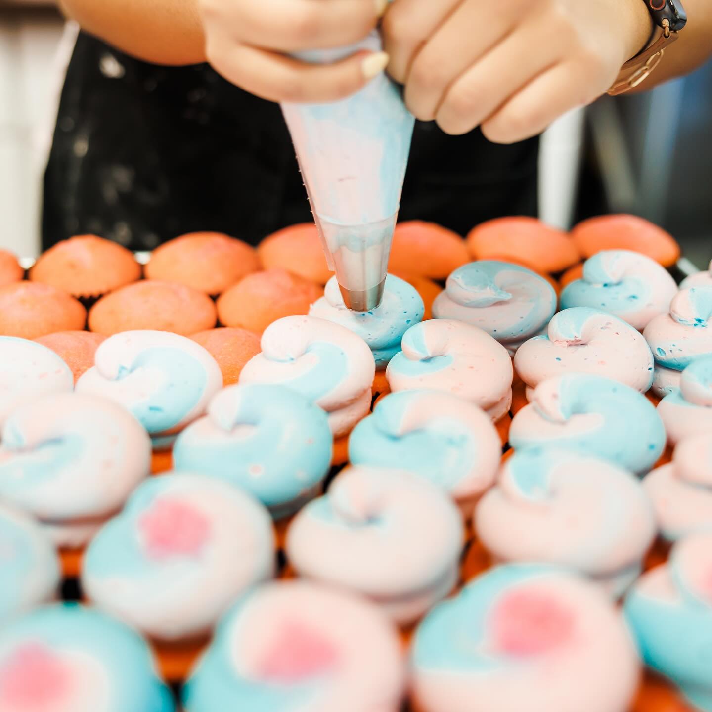 PinkaBella Cupcakes